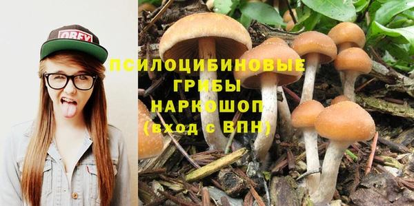 PSILOCYBIN Богородск