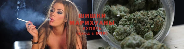 PSILOCYBIN Богородск