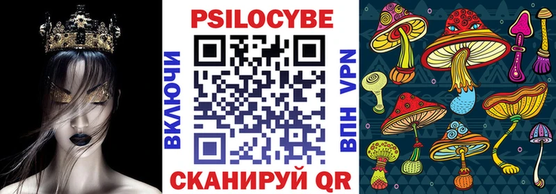 Галлюциногенные грибы Psilocybe  где продают   Волжский 