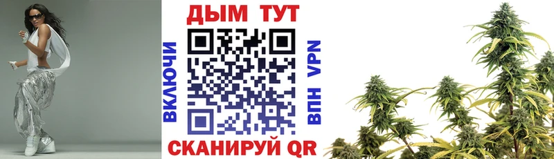 Канабис семена  Волжский 